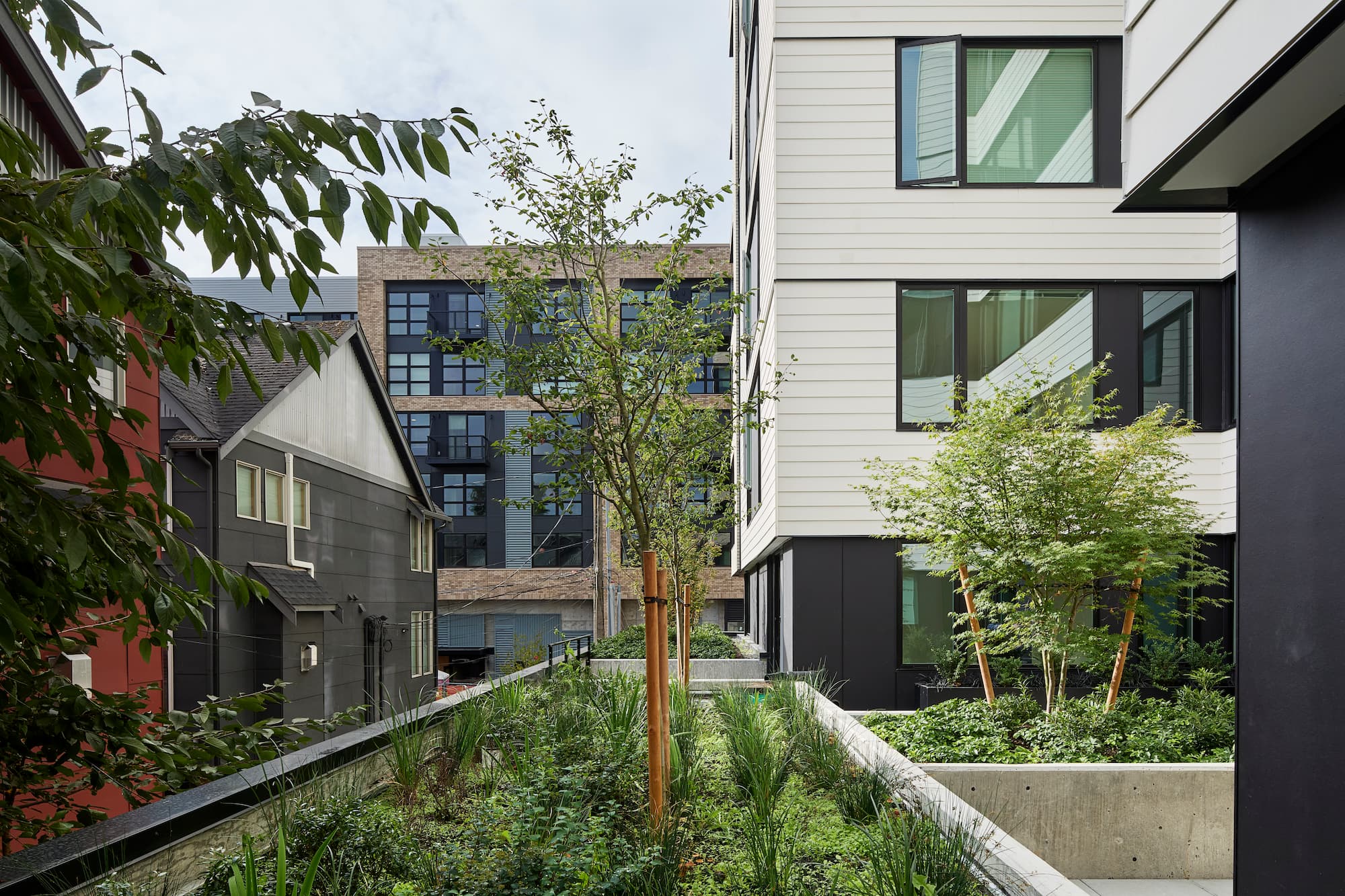 コレクション Suburbia suite : evergreen review 本日のオススメ】 Suburbia Suite Evergreen Review / Suburbia