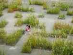 A temporary garden in Kortrijk, Belgium.