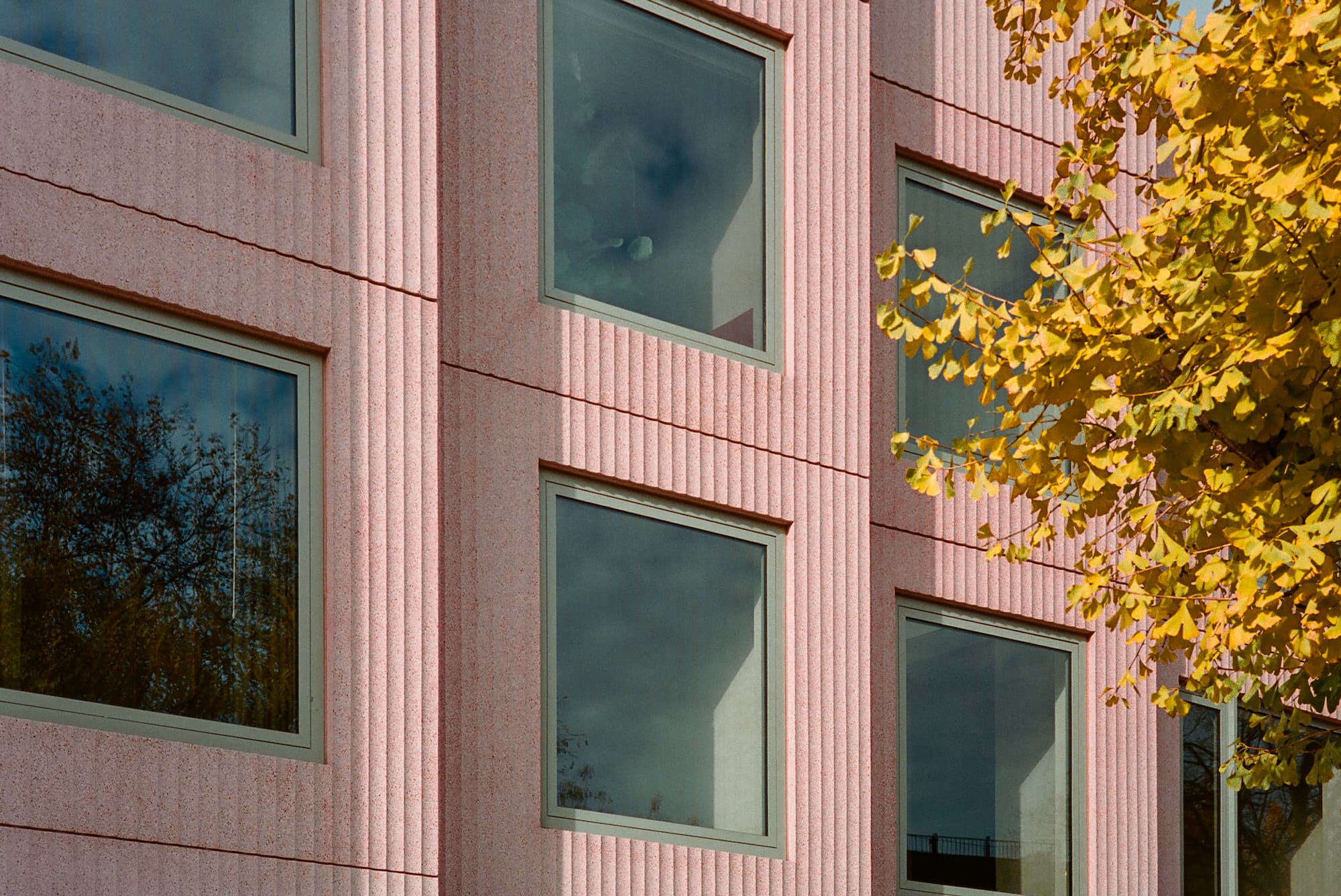 Brooklyn Gets a Pink Disruptor — and It's Rewriting the Rules of
